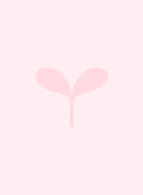 刺繍森の七ずきんと姫に掛けられた黒ずきんの呪い