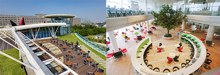 大学紹介 7号館屋上カフェ・図書館