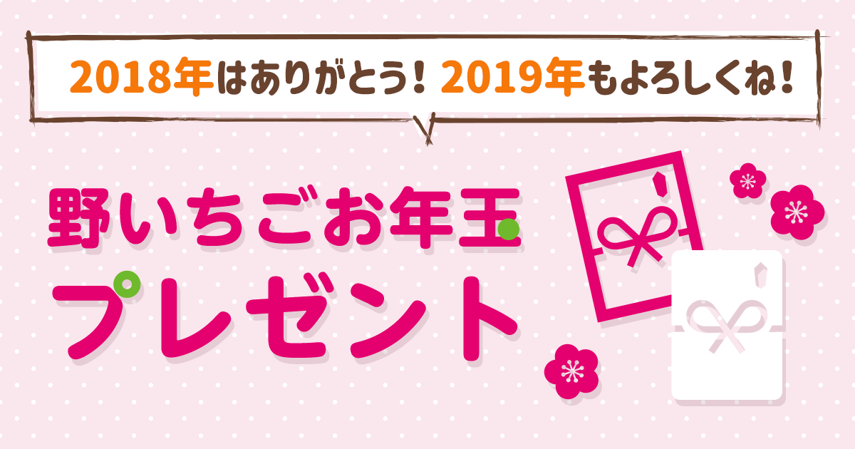 2018年はありがとう！2019年もよろしくね！ 野いちごお年玉プレゼントの画像