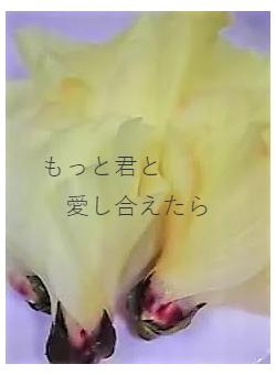 もっと君と　　　愛し合えたら