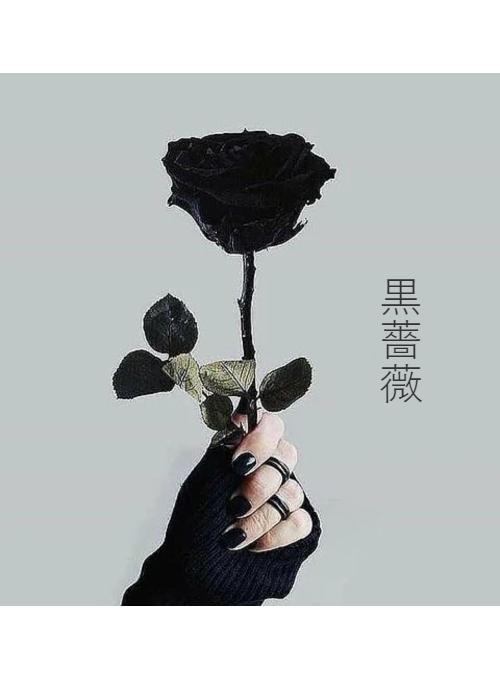 残酷 の作品一覧 人気順 野いちご 無料で読めるケータイ小説 恋愛小説