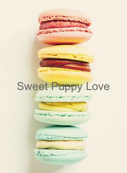 Sweet Puppy Love
