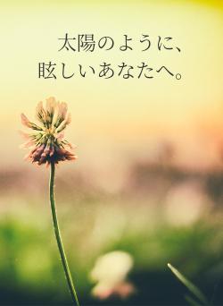 太陽のように、眩しいあなたへ。