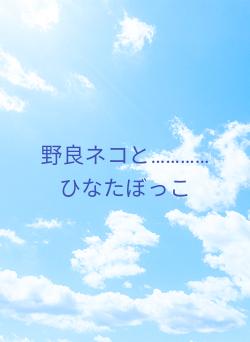 野良ネコと…………ひなたぼっこ