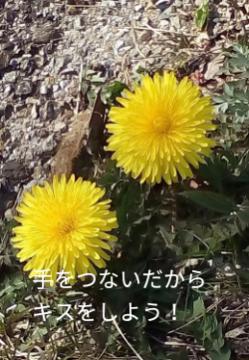 手をつないだからキスをしよう！