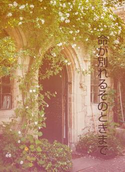 命が別れるそのときまで