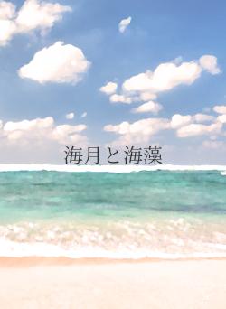 海月と海藻
