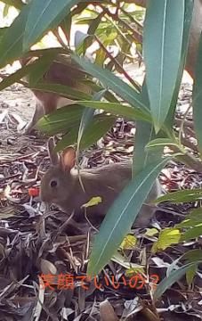 笑顔でいいの？