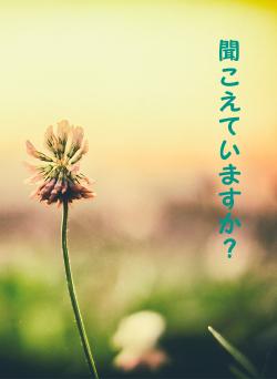 聞こえていますか？
