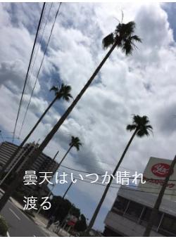 曇天はいつか晴れ渡る