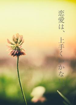 恋愛は、上手くいかない。