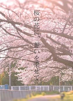 桜の花に、想いを乗せて