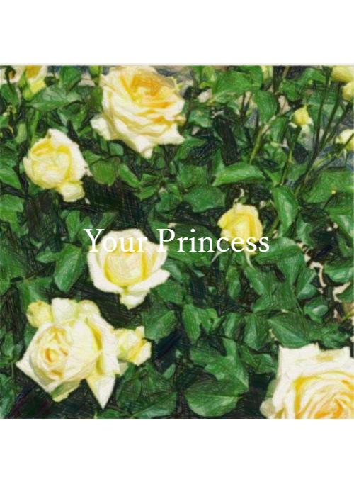 Your Princess