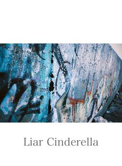 Liar Cinderella
