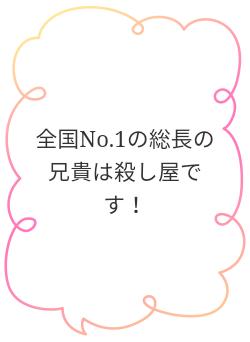 全国No.1の総長の兄貴は殺し屋です!