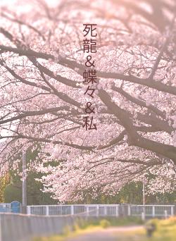 死龍＆蝶々＆私