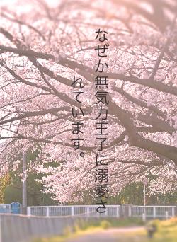 なぜか無気力王子に溺愛されています。