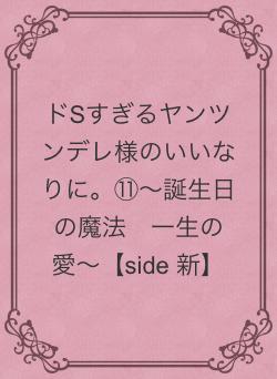 ドSすぎるヤンツンデレ様のいいなりに。⑪〜誕生日の魔法　一生の愛〜【side 新】