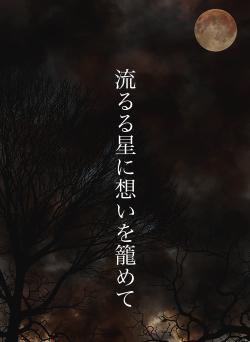 流るる星に想いを籠めて