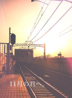11月の君へ。