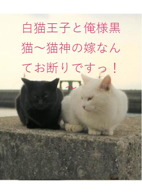白猫王子と俺様黒猫～猫神の嫁なんてお断りですっ！～