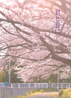 君と春に、