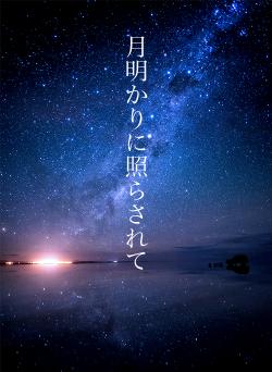 月明かりに照らされて