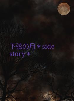 下弦の月*side story*