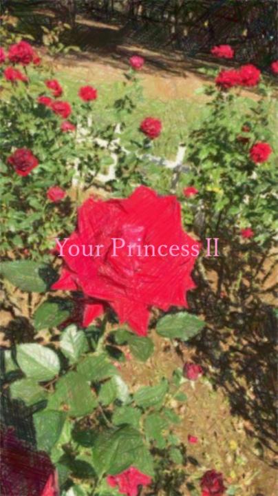 Your PrincessⅡ