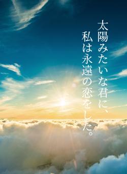 太陽みたいな君に、 私は永遠の恋をした。