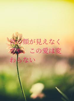 彼の顔が見えなくても、この愛は変わらない