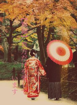 【短編】貴方だけを愛しています