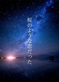 桜のような恋だった