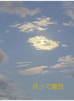 月って魔性