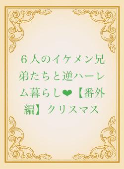 ６人のイケメン兄弟たちと逆ハーレム暮らし❤︎【番外編】クリスマス