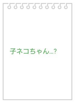 子ネコちゃん…?
