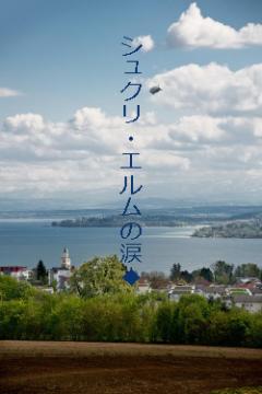 シュクリ・エルムの涙◆