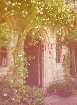 異国の君はどこへ...？