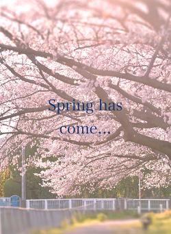 Spring has come...