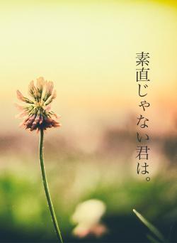 素直じゃない君は。