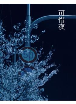可惜夜