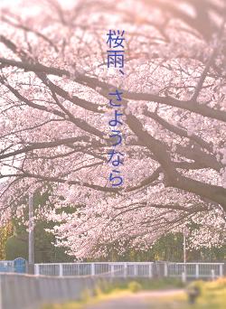 桜雨、さようなら