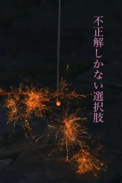 不正解しかない選択肢