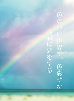 色の無い世界で、色彩やかな君に恋をする