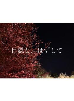 目隠し、はずして