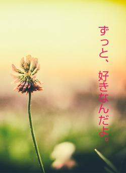 ずっと、好きなんだよ。