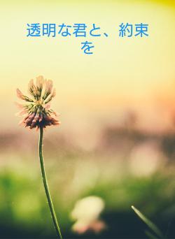 透明な君と、約束を