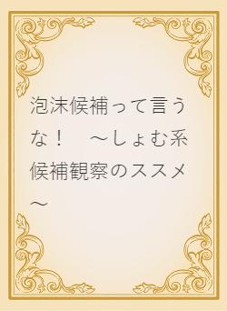 泡沫候補って言うな！　～しょむ系候補観察のススメ～