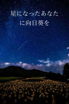 星になったあなたに向日葵を