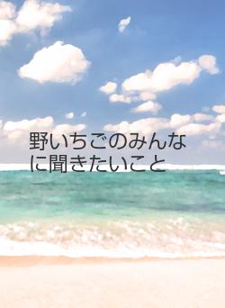 野いちごのみんなに聞きたいこと